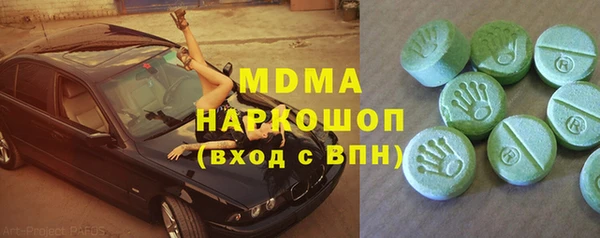 индика Дмитровск