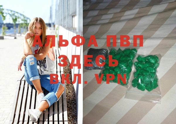 амф Гусев