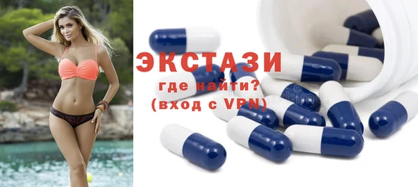 амф Гусев