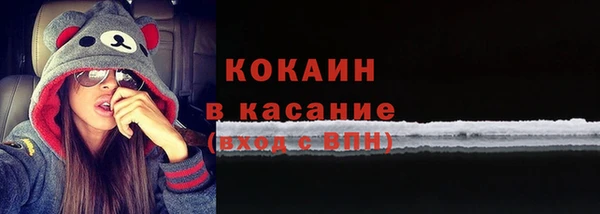 амф Гусев