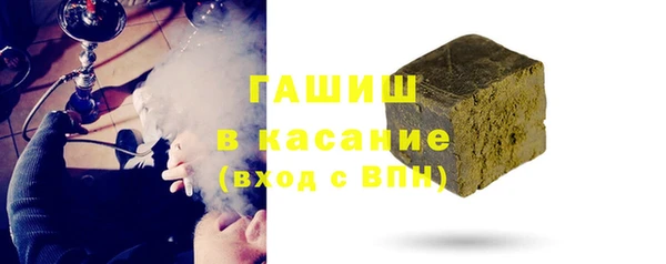 амф Гусев
