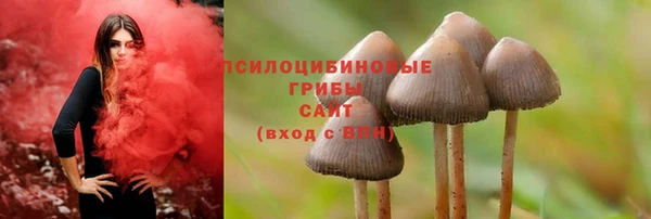 амф Гусев