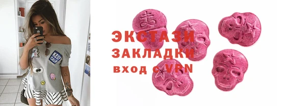 амф Гусев