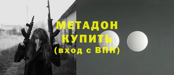амф Гусев