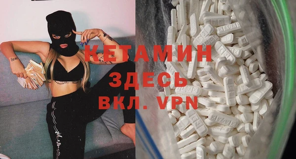 амф Гусев