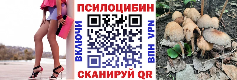 Галлюциногенные грибы Magic Shrooms  Купить где  Касли 